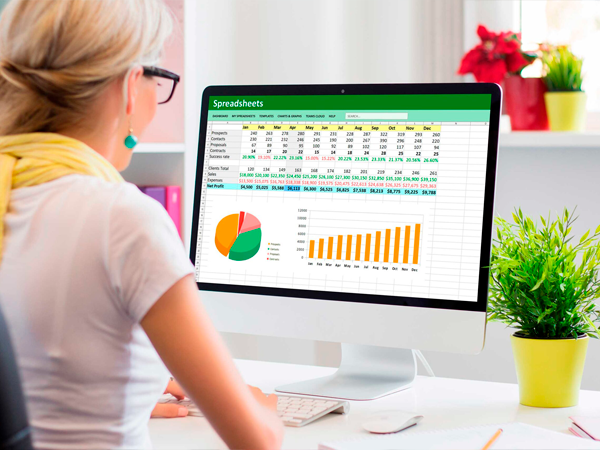 Programa de Especialización en Microsoft Excel